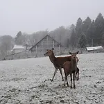 Belvilla Heiderhof In Rheinischen Westerwald 3*