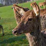 Belvilla Heiderhof In Rheinischen Westerwald Szálloda 3*