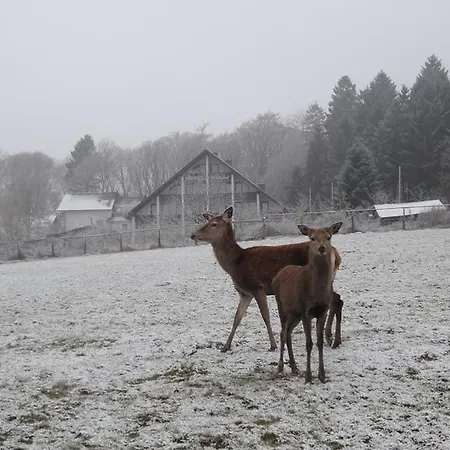 Belvilla Heiderhof In Rheinischen Westerwald 3*