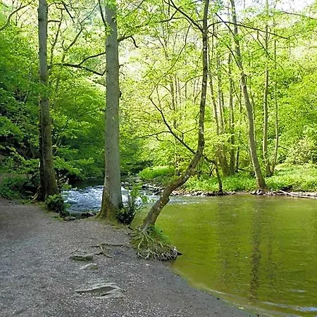 Ξενοδοχείο Belvilla Heiderhof In Rheinischen Westerwald Obersteinebach
