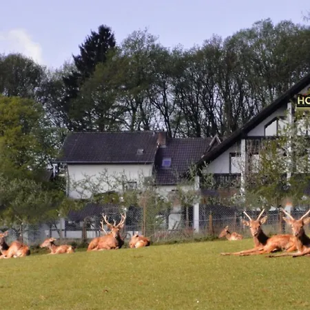Heiderhof Obersteinebach