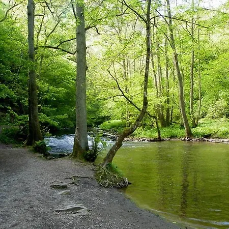 호텔 Heiderhof Obersteinebach