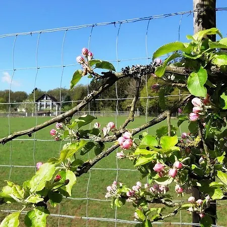 Heiderhof Obersteinebach