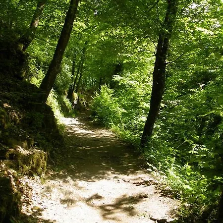 فندق Heiderhof Obersteinebach