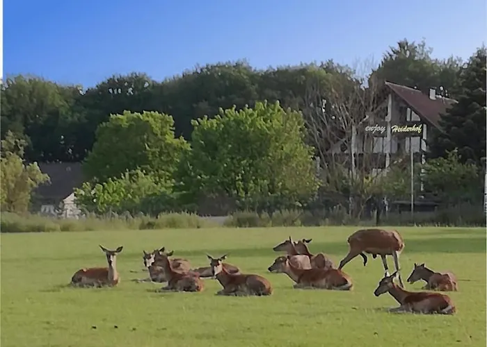 Belvilla Heiderhof In Rheinischen Westerwald Otel Obersteinebach