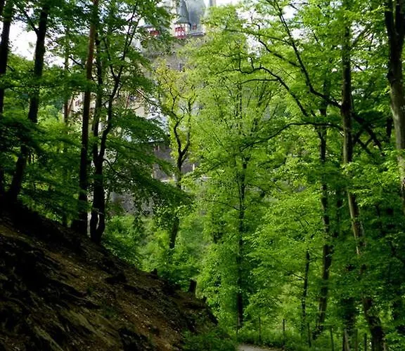 Belvilla Heiderhof In Rheinischen Westerwald Otel Obersteinebach