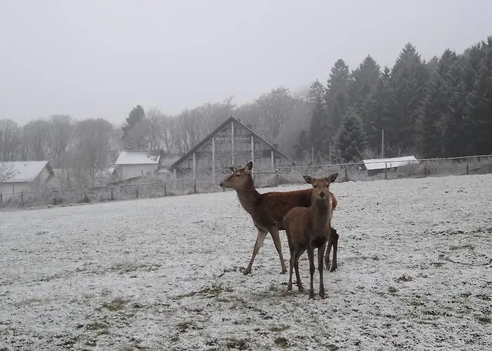 Belvilla Heiderhof In Rheinischen Westerwald 3*