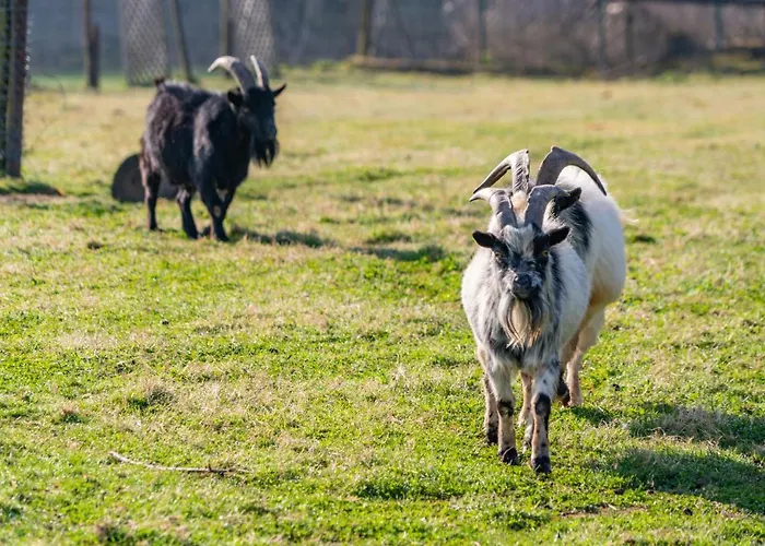 Belvilla Heiderhof In Rheinischen Westerwald