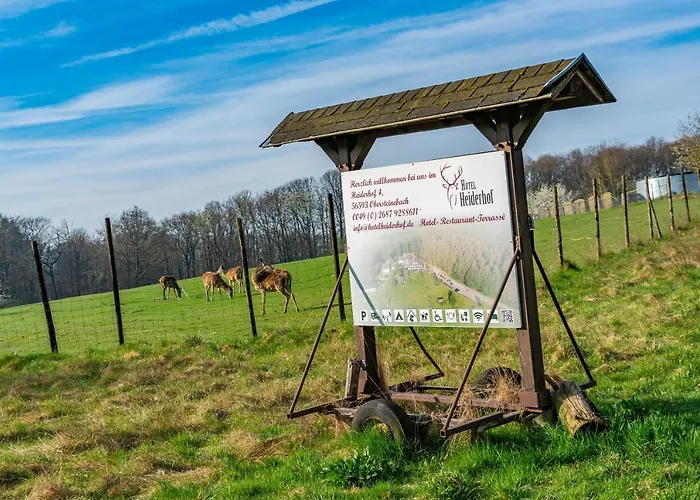Belvilla Heiderhof In Rheinischen Westerwald Obersteinebach