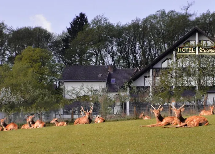Belvilla Heiderhof In Rheinischen Westerwald Obersteinebach