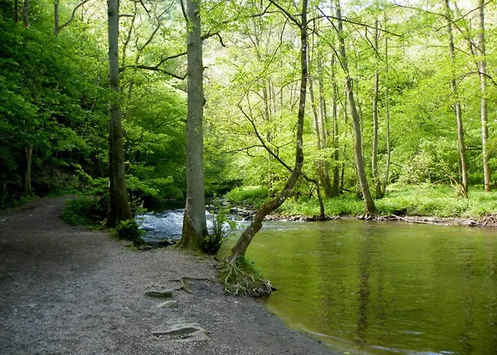 Otel Belvilla Heiderhof In Rheinischen Westerwald Obersteinebach