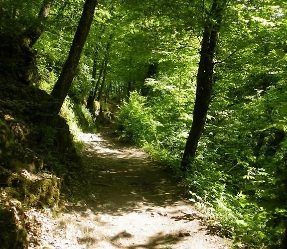 Otel Belvilla Heiderhof In Rheinischen Westerwald Obersteinebach